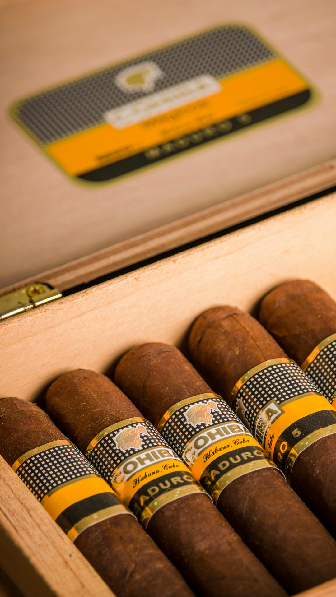 hemingway_casa-del-habano_vertical1